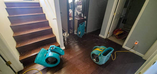 Best Flood damage cleanup  in Thorp, WI