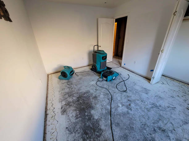  Thorp, WI Water damage restoration Pros