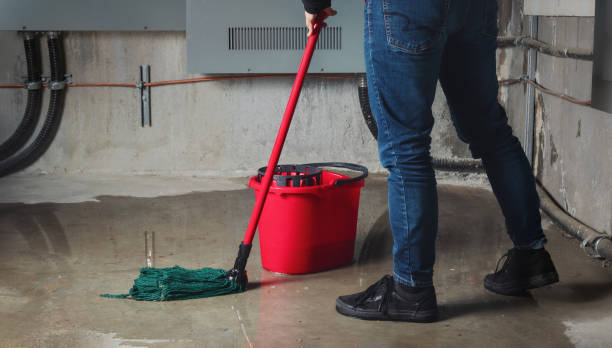 Best Water damage cleanup near me  in Thorp, WI