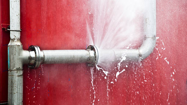 Best Ceiling water damage repair  in Thorp, WI